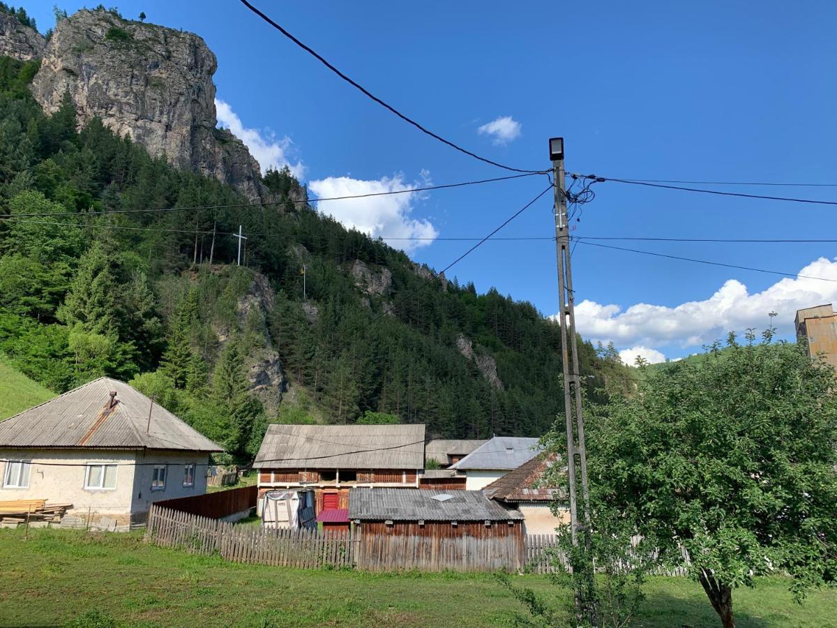 Acasa In Bicaz-Chei - Camere De Inchiriat Cheile Bicazului Exterior foto